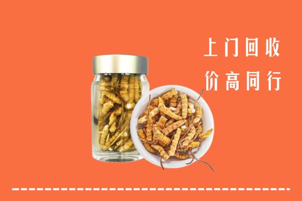 阳泉回收冬虫夏草